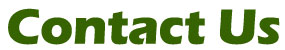 Contact Us Image